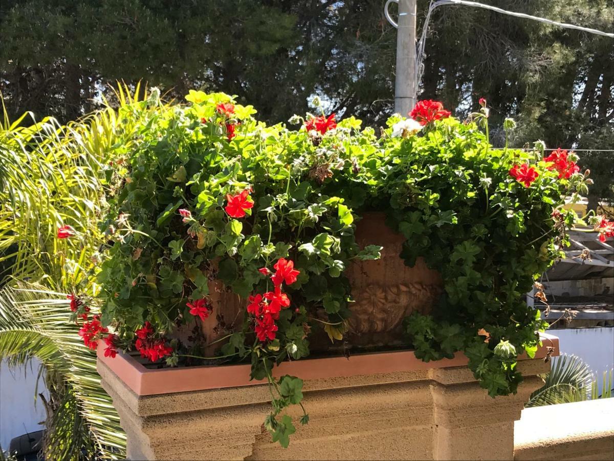 Villa Relax Sul Mare Gallipoli Zewnętrze zdjęcie